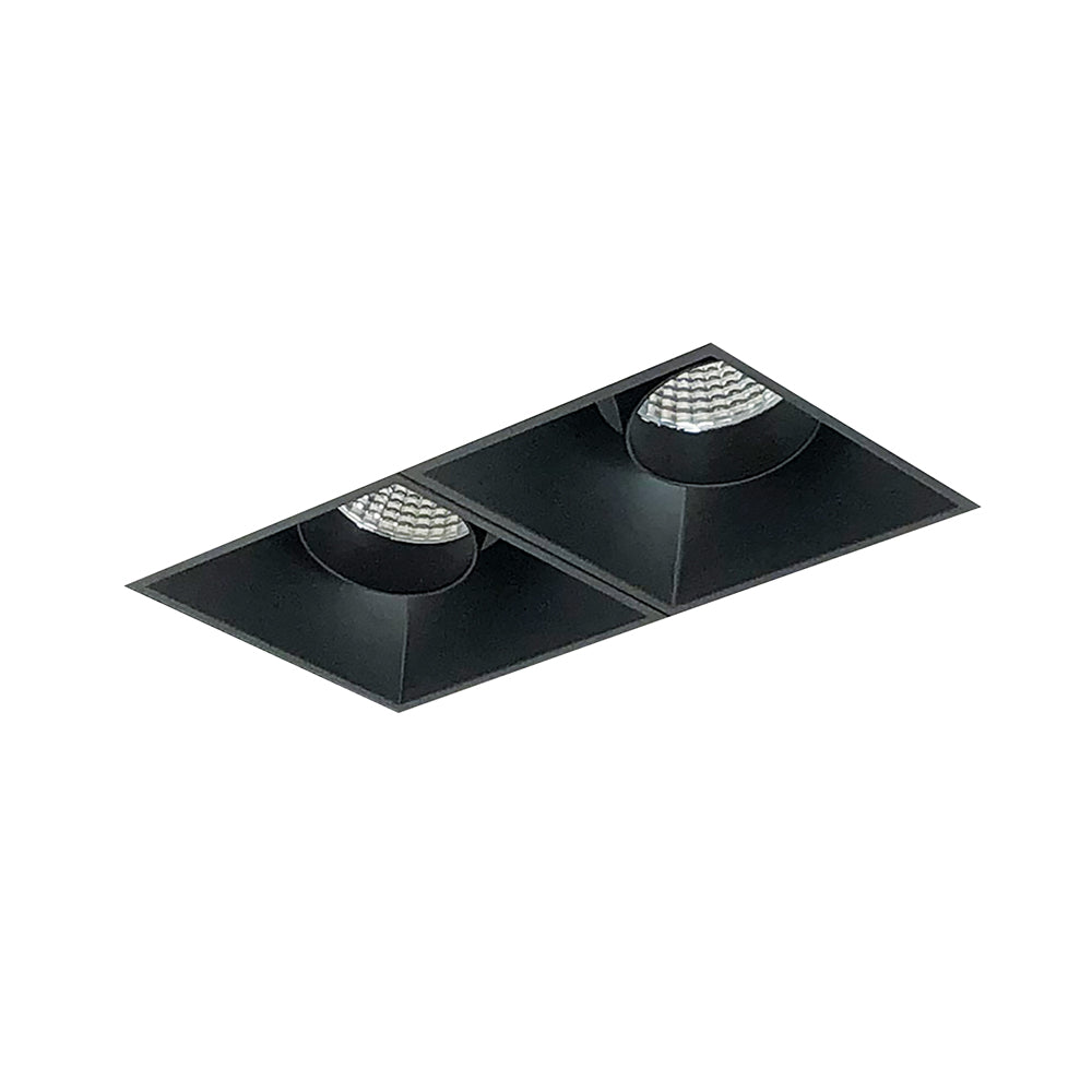 Nora Lighting Iolite MLS Two Head, Trimless / Adjustable Snoot