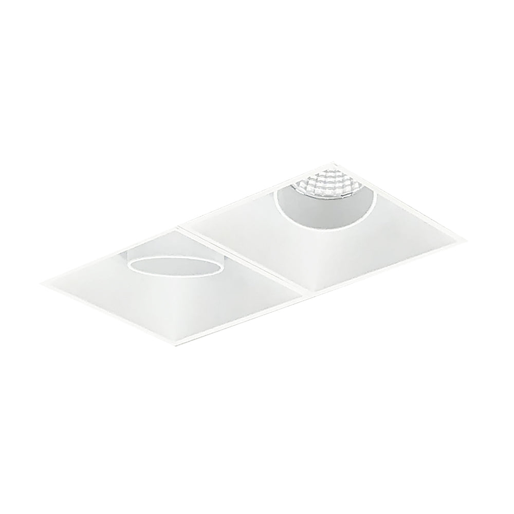 Nora Lighting Iolite MLS Two Head, Trimless / Adjustable Snoot