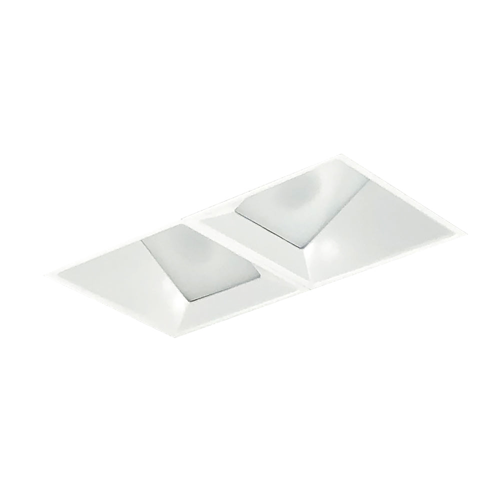 Nora Lighting Iolite MLS Two Head, Trimless Adjustable Snoot / Wall Wash