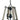Framburg Meredith 4 - Light Matte Black Dual Mount L1136 MBLACK