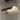 Santa & Cole Lamina Mayor Pendant Light