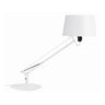 Lektor Table Lamp by Carpyen