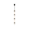 Wit 5 Glass Pendant | Visual Comfort Modern | LoftModern