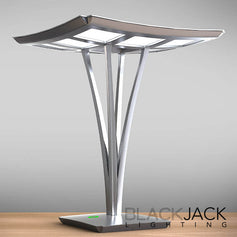 Blackjack Lighting