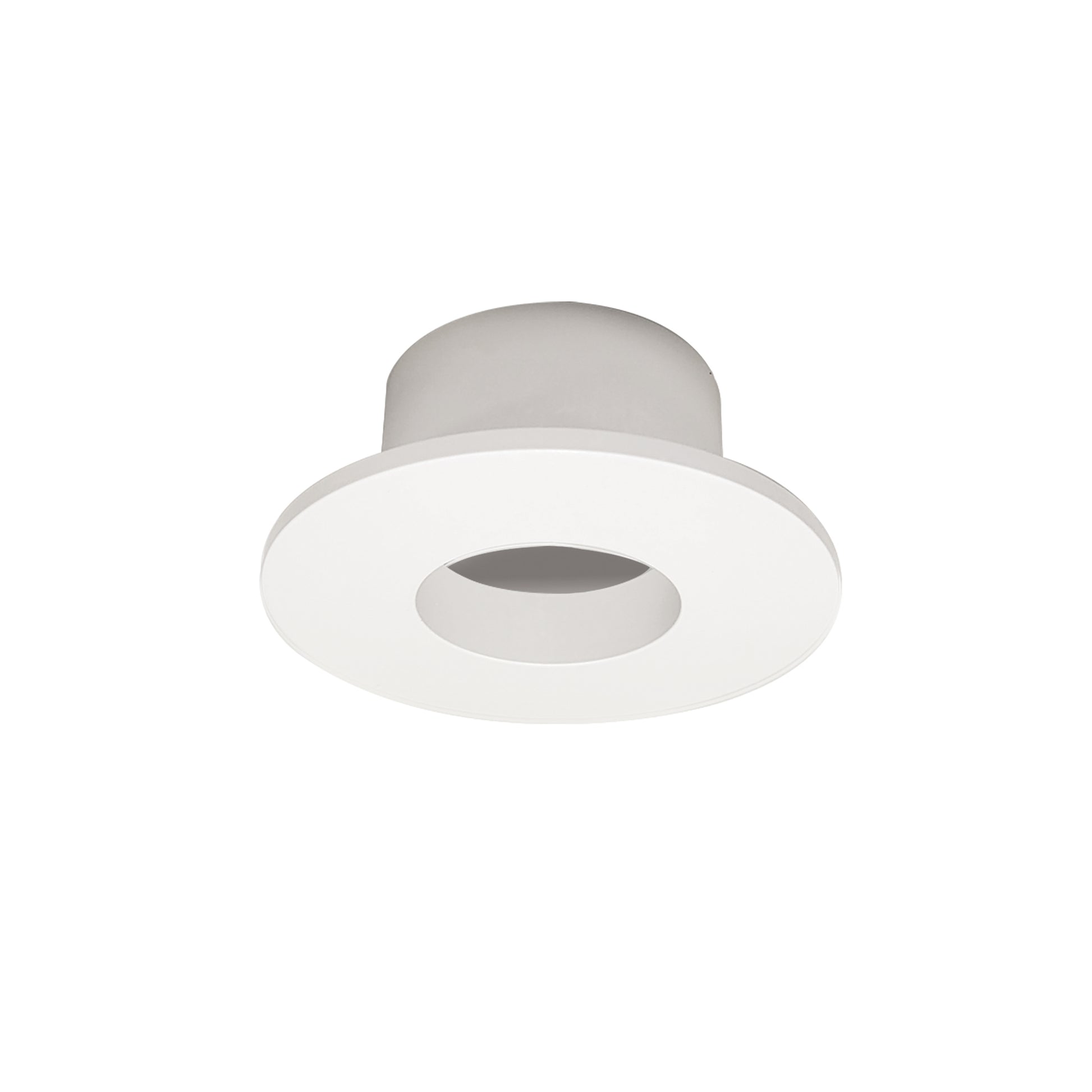 1-Inch Nora Lighting Iolite LED Recessed Downlight Trim -  Can-less Round Fixture 1
