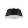 Maxim Lighting Miles 16" LED Flush Mount Black/Natural Aged Brass
