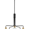 Maxim Lighting Coraline 5-Light Chandelier Bronze/Satin Brass