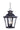 Knoxville Outdoor Hanging Lantern by Maxim - 1139CLBZ