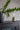 Humble One Rechargeable Lamp – Oak
