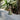 Humble One Rechargeable Lamp – Moss