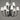 Maxim Lighting Shelter 9-Light Chandelier Black
