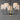 Bozeman Single Tier Chandelier by Maxim - 11865OFNWD