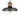 Maxim Lighting Bingham Small Pendant June Bug