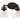 Maxim Lighting Seafarer 2-Light Bath Vanity With Bulbs Oil Rubbed Bronze