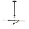 Maxim Lighting Equilibrium 4-Light LED Flush Mount Convertible Black