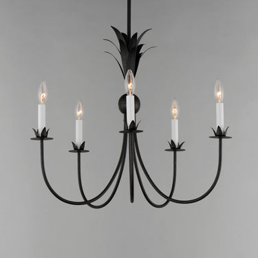 Maxim Lighting Paloma 5-Light Chandelier Anthracite