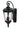 Sentry Outdoor Wall Light by Maxim - 3055WGBK