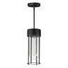 Maxim Lighting Millennial Outdoor Hanging Pendant Black