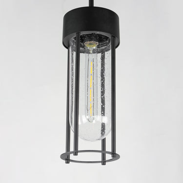 Maxim Lighting Millennial Outdoor Hanging Pendant Black