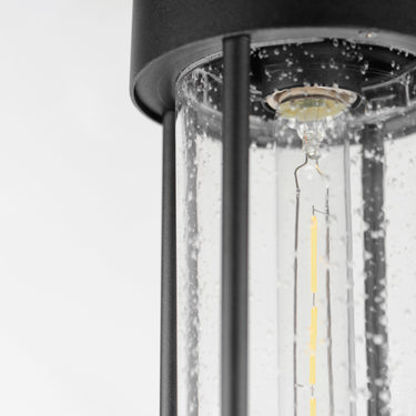Maxim Lighting Millennial Outdoor Hanging Pendant Black
