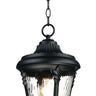 Maxim Lighting Sentry Outdoor Hanging Pendant Black