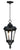 Sentry Outdoor Hanging Lantern by Maxim - 3058WGBK