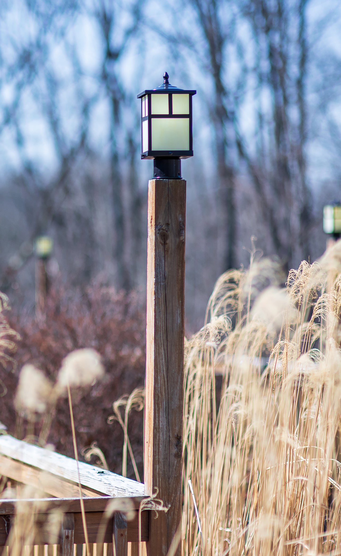 Maxim Coldwater 1-LT Outdoor Pole/Post Lantern