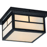 Maxim Lighting Coldwater 2-Light Outdoor Ceiling Mount Black