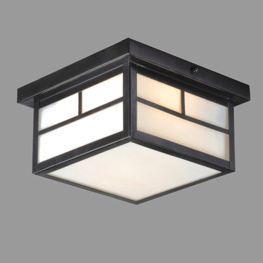 Maxim Lighting Coldwater 2-Light Outdoor Ceiling Mount Black