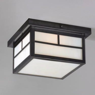 Maxim Lighting Coldwater 2-Light Outdoor Ceiling Mount Black