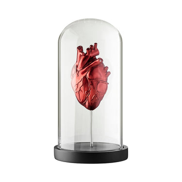 Finesse Decor Heart a Box Resin and Glass LED Sculpture
