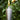 Stainless Steel Outdoor Garden Torch Cone Blomus 65007