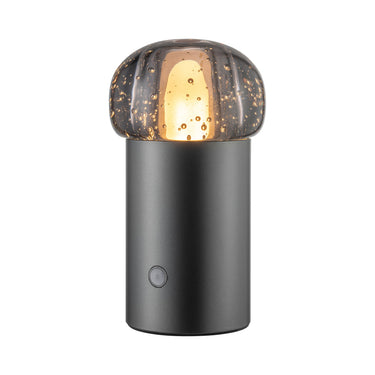 Iris Lamp Mobile Rechargeable Led Blomus 67045