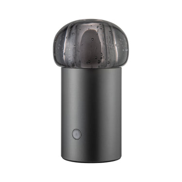 Iris Lamp Mobile Rechargeable Led Blomus 67045
