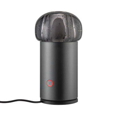 Iris Lamp Mobile Rechargeable Led Blomus 67045