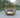 Renava Cocoon Outdoor Beige Wicker Lounge Bed