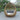 Renava Cocoon Outdoor Beige Wicker Lounge Bed
