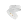 Maxim Lighting Swinger Adjustable LED Flush Mount White