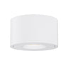 Maxim Lighting Fulcrum LED Flush Mount w Gimbal White