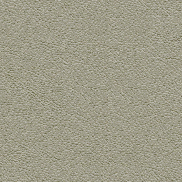 Fantasy Leather Cement