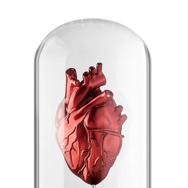 Finesse Decor Heart a Box Resin and Glass LED Sculpture