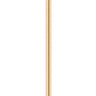 Maxim Lighting Branch Mini Pendant Natural Aged Brass
