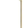 House of Troy Addison Adjustable Antique Brass Pharmacy Floor