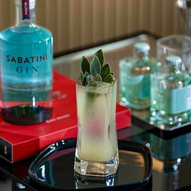 CIBI highballs by Cini Boeri for Arnolfo di Cambio – view 3
