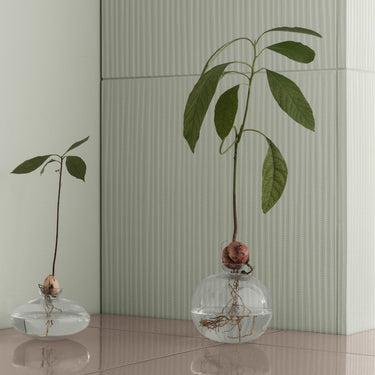 AVO avocado vase in a styled room (1) | AVO by blomus