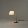 Santa & Cole Americana rotating arm table lamp in satin nickel finish