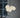 Le Klint Bouquet Chandelier - Medium - 5 Shades