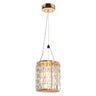 Brusmogan Gold Cylinder LED Chandelier - Modern Glam Lighting