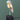 Chirp by Daqiconcept softly lit against sage green
