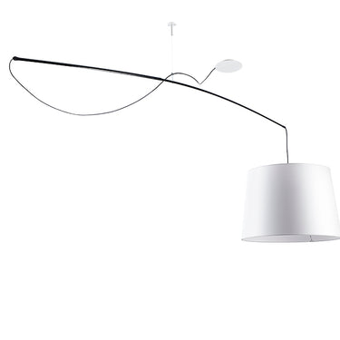 Robinson Pendant Light by Carpyen